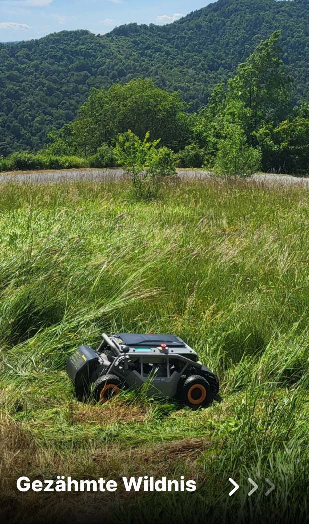 Gezähmte Wildnis
