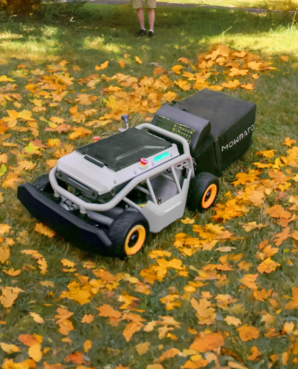Herbstputz